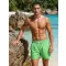 Herrenshorts DSTREET SX2585 GRÜN
