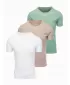 Herren-T-Shirt OMBRE OM-TSBS-0268 GRAUGRÜN/WEIß/BEIGE