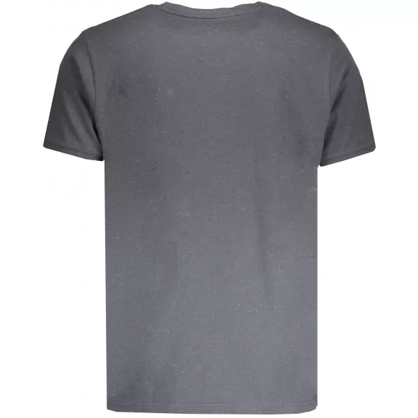  Herren t -Shirt mit kurzen Ärmeln ALPINE PRO BIALON MTSN363 GRAU 