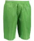 Herrenshorts ALPINE PRO KAEL 2 MPAN345 GRÜN