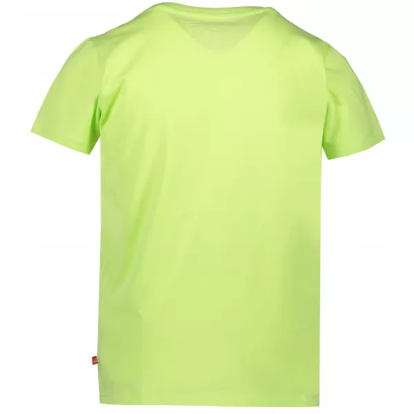  T -Shirt ALPINE PRO DAYO 3 KTSR237 GRÜN 