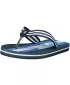 Herren-Flip-Flops SAM 73 MF 42 BLAU