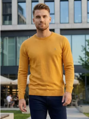 Herrenpullover ALTISPORT KAMIQ MPLS096 GELB