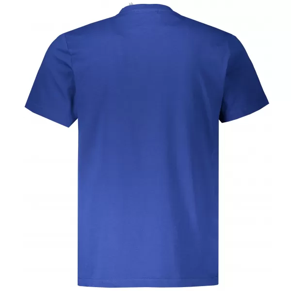  Herren-T-Shirt ALTISPORT ALM013129 KÖNIGSBLAU 