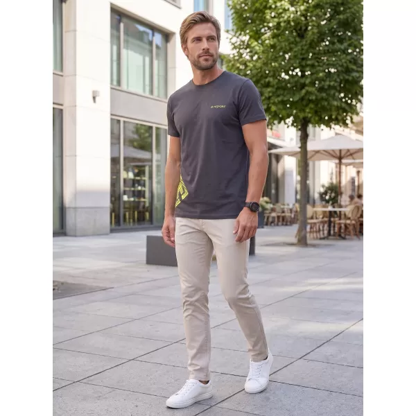  Herren-T-Shirt ALTISPORT ALM013129 EBENHOLZGRAU 