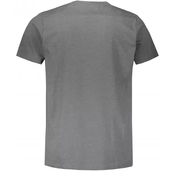  Herren t -Shirt mit kurzen Ärmeln ALPINE PRO SKULD MTSS520 GRAU 