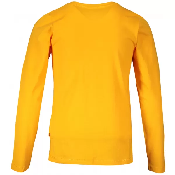  T -Shirt ALPINE PRO ESNO KTSS272 BERNSTEIN 