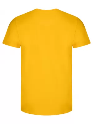 Herren-T-Shirt LOAP ALIEN CLM2072 BERNSTEIN