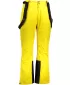 Herren -Skihosen ALPINE PRO SANGO 8 MPAS477 BERNSTEIN