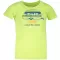 T -Shirt ALPINE PRO MATTERO 3 KTST313 GRÜN