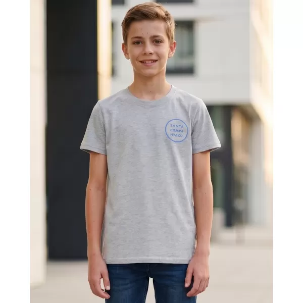  Boy T -Shirt mit kurzen Ärmeln SAM 73 BLAIR BT 551 HELLGRAU 