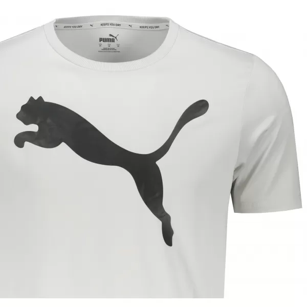  Herren-T-Shirt PUMA ACTIVE BIG LOGO TEE 586724-09 GRAU 