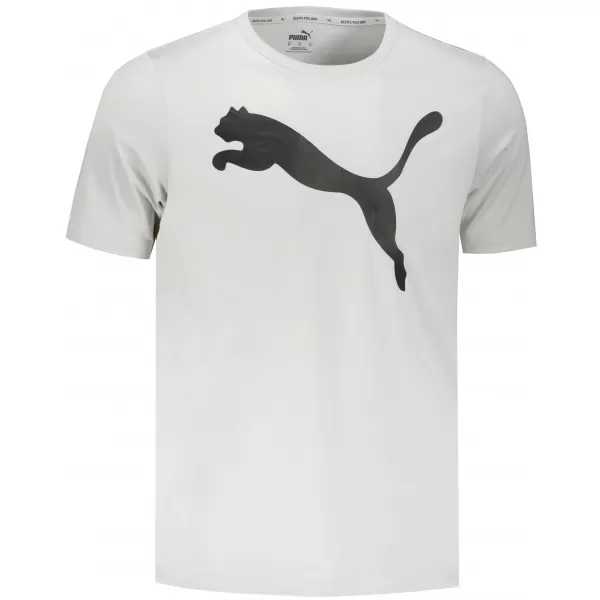  Herren-T-Shirt PUMA ACTIVE BIG LOGO TEE 586724-09 GRAU 