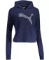 Damen-Sweatshirt PUMA POWER SUMMER GRAPHIC HOODIE TR 848402-06 BLAU