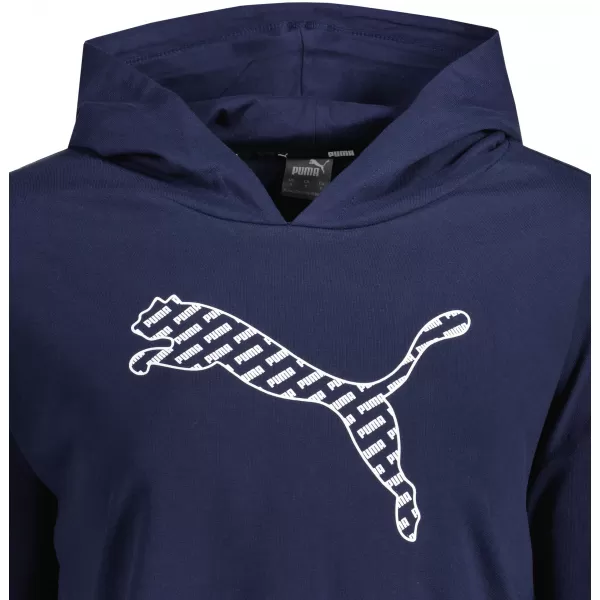  Damen-Sweatshirt PUMA POWER SUMMER GRAPHIC HOODIE TR 848402-06 BLAU 