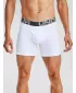 Herren-Boxershorts UNDER ARMOUR CHARGED COTTON 6IN 3 PACK 1363617-100 WEIß
