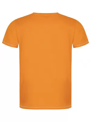 Herren-T-Shirt LOAP ALEXUS CLM2308 BERNSTEIN