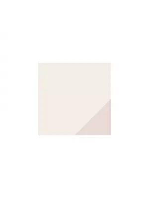 Damensocken PUMA WOMEN SLOUCH SOCK 2P 938005-02 BEIGE