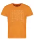 Herren-T-Shirt LOAP ALEXUS CLM2308 BERNSTEIN