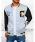 Herren Frühling Baseballjacke DSTREET TX4438 GRAU