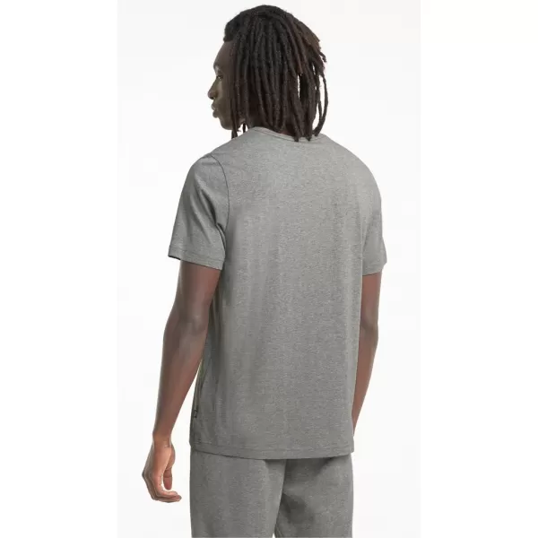  Herren-T-Shirt PUMA ESS+ 2 COL LOGO TEE 586759-03 GRAU 