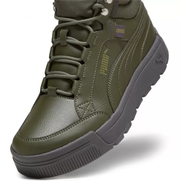  Herrenschuhe PUMA TARRENZ SB III PURETEX 393930-03 GRÜN 