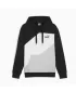 Herren-Sweatshirt PUMA POWER COLORBLOCK HOODIE 678931-01 SCHWARZ
