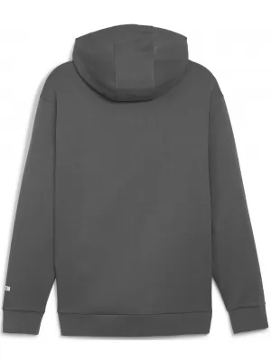 Herren-Sweatshirt PUMA RAD/CAL HALF-ZIP 678914-80 GRAU