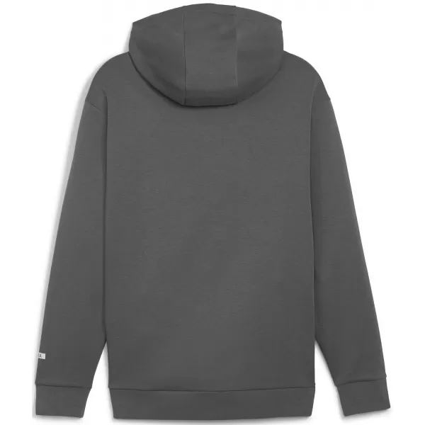  Herren-Sweatshirt PUMA RAD/CAL HALF-ZIP 678914-80 GRAU 