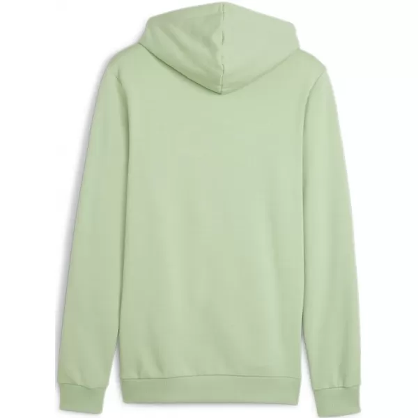  Herren-Sweatshirt PUMA ESS+ 2 COL SMALL LOGO HOODIE 680990-95 GRÜN 