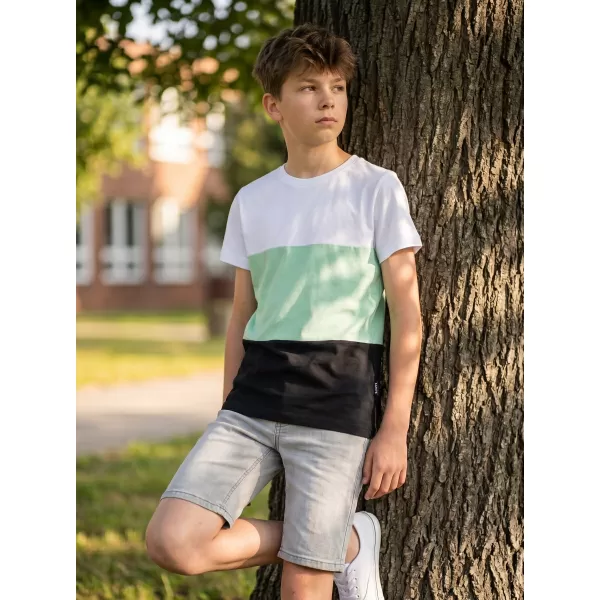  T-Shirt für Jungen SAM 73 JABBA KT 520 BASILIKUM 