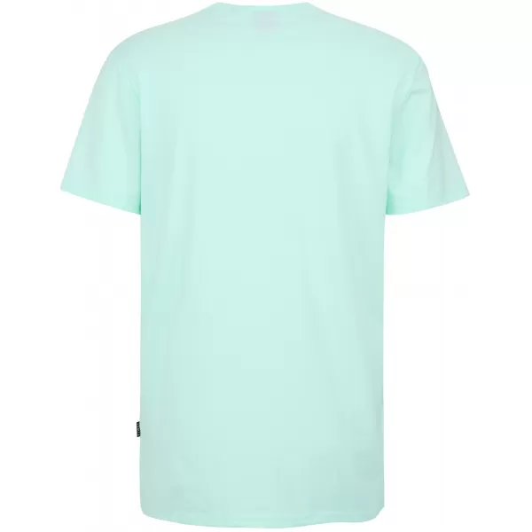  Herren-T-Shirt SAM 73 FELIPE MT 843 MINZE 