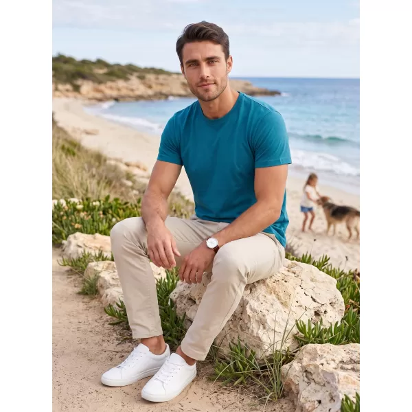  Herren-T-Shirt ALTISPORT NoPrint NP/ALM921 KEROSIN 