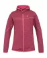 Damen-Sweatshirt HANNAH DAGNYS HOODY GEIßBLATT HATTE ICH