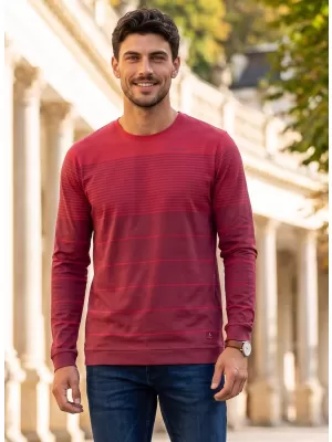 Herren-T-Shirt ALTISPORT DAIRUS BURGUND