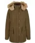 Damen Park BRANDIT BD33121 OLIVE