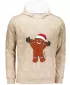 Hochwertiges Funktions-Sweatshirt für Herren ALTISPORT VOJ/ALMVN6MI01 BEIGE
