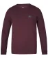 Herren-T-Shirt mit langen Ärmeln HANNAH KIRK II FEIGE