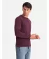 Herren -Sweatshirt OMBRE OM-SSBN-0159 KASTANIENBRAUN