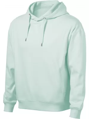 Herren -Sweatshirt ALTISPORT NoPrint NP/ALM024 FROST