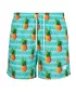 Shorts URBAN CLASSICS TB2679 ANANAS AOP