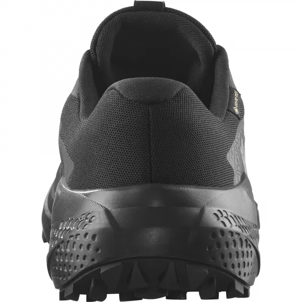  Herrenschuhe SALOMON ALPHAGLIDE GTX L47802100 SCHWARZ/ASPHALT/SCHWARZ 