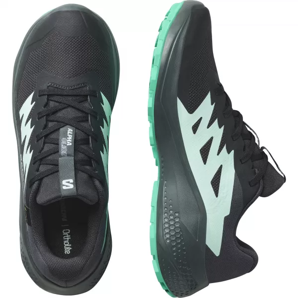  Damenschuhe SALOMON ALPHAGLIDE GTX W L47802400 PHANTOM/URBAN CHIC/WASSERFALL 