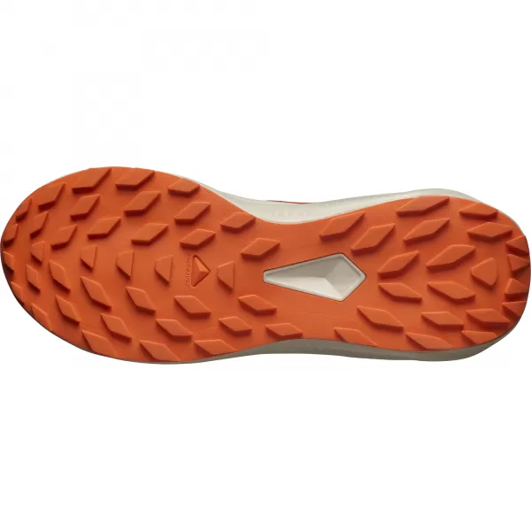  Herrenschuhe SALOMON ALPHAGLIDE L47801100 SCHWARZ/REGENTAG/ROTORANGE 