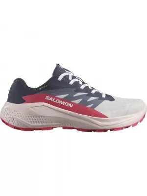 Damenschuhe SALOMON ALPHAGLIDE GTX W L47802300 MONDGESTEIN/BLAUE NÄCHTE/ROUGEROT
