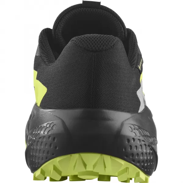  Herrenschuhe SALOMON ALPHAGLIDE GTX L47802000 SCHWARZ/LEGIERUNG/SCHARFGRÜN 