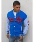 Herren -Sweatshirt DSTREET BX5447 BLAU