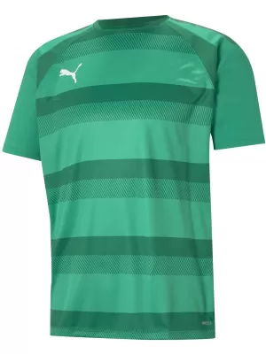 Herren -funktionales Hemd PUMA TEAMVISION JERSEY 704921_05 PFEFFERGREEN/POWERGREEN/WEIß