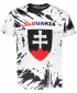 Männer funktionaler T -Shirt Premium ALTISPORT VOJ/ALM036SL/TR01 ABSTRAKTION