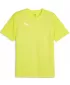 Herren -funktionales Hemd PUMA TEAMFINAL TRAINING JERSEY 658557_30 ELECTRIC LIME/ ELEKTRISCHES KALK/PUMA SILBER